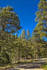 Traveling through the Sangre de Cristo Mountains between Las Vegas and Taos, New Mexico, flowing rivers, snow capped mountains, pine trees, beautiful scenery.
