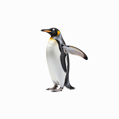 Fototapeta premium Regal King Penguin in a Pose: A striking king penguin stands in full profile, with its characteristic markings and poised demeanor. capturing the spirit of the Antarctic wilderness.