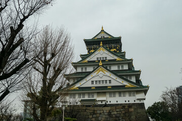 Fototapeta premium The majestic Osaka Castle stands proudly on its massive stone foundation under an overcast sky, framed by a bare winter tree, highlighting the enduring presence of this Japanese historical landmark.
