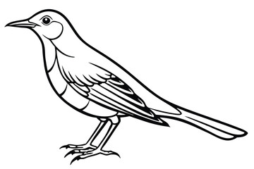 Monochrome Bird Illustration Detailed Line Art Depiction of a Standing Songbird Profile View
