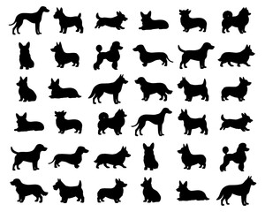 Set of silhouettes of dogs of different breeds. Vector isolated on background EPS 10.