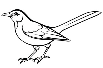 Line Art Illustration of a Perched Bird with Long Tail and Pointed Beak