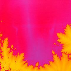 Obraz premium backround best photo