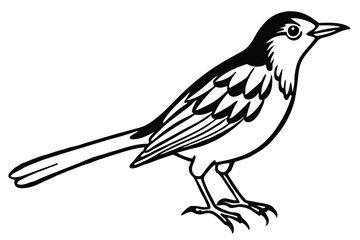 Striking Monochrome Illustration A Black and White Bird Design with Sharp Details