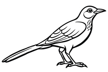 Stylized Black and White Line Drawing of a Bird Perched and Facing Right