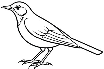 Line art illustration of a songbird with detailed wings and feet design