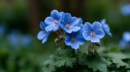 Blue flowers 8 75008610 1