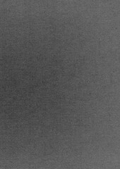 a scanned paper overlay with a halftone dot pattern in a grayscale tone. 