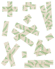 Set of semi-transparent washi tapes with pattern isolated on white. Tapes collection in vector. Pieces of decorative tape for scrapbooks. Torn paper. Spring, summer. Beige and green