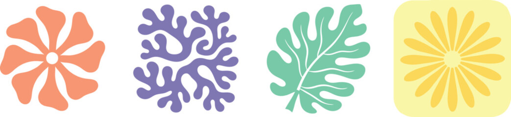 Floral botanical icons vector illustration set design for web and print use