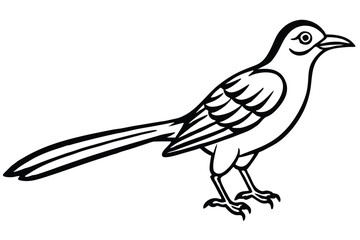 Stylized Black and White Illustration of a Mockingbird with Long Tail Feathers