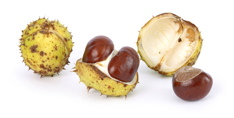 Marrons d'Inde	