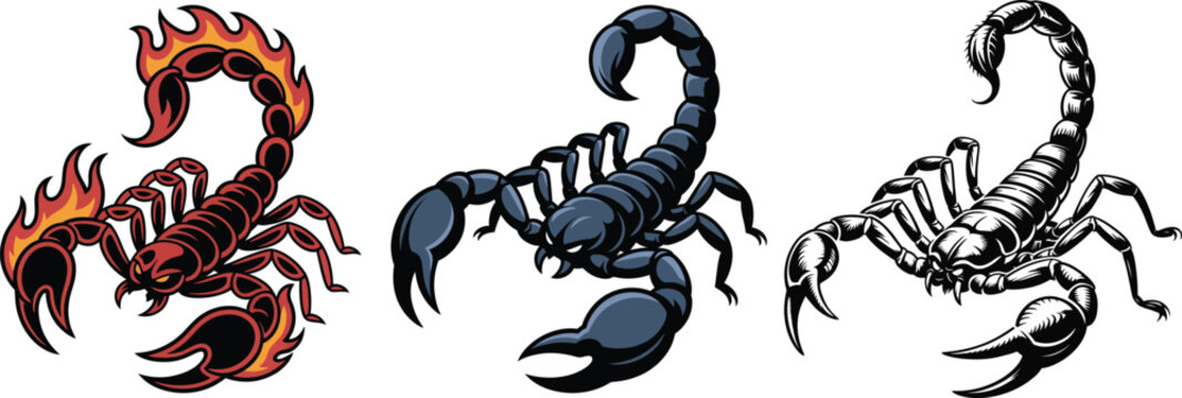 Three stylized scorpions in different artistic styles on a white background