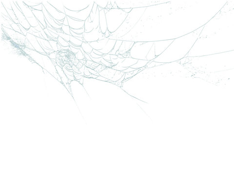 A delicate spiderweb glistens against a dark backdrop, showcasing intricate patterns ideal for graphic design overlays or textures, transparent background
