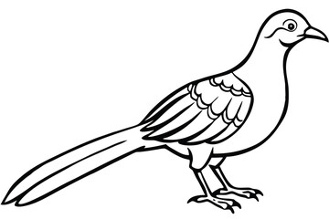 Fototapeta premium Black and White Illustration of a Standing Pheasant with Detailed Feathers and Long Tail