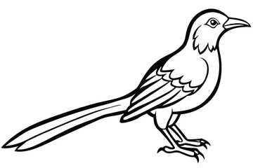 Line art illustration of a standing bird with a long tail and claws