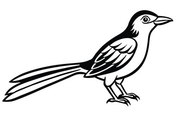 Black and White Illustration of a Standing Magpie with Long Tail Feathers