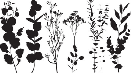 Set of tree branches, eucalyptus, leaves, herbs and flowers silhouettes , black silhouettes isolated on white background