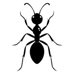vector illustration of a spider silhoutte vectors 