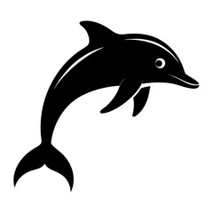 dolphin isolated on white background