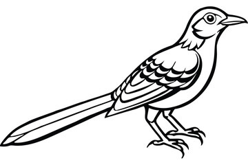 Line Art Illustration of a Mockingbird with Detailed Feathers and Sharp Claws