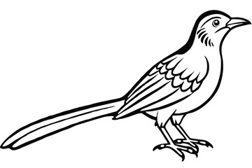 Minimalist Graphic of a Northern Mockingbird with Tail, Legs, and Wing Detail