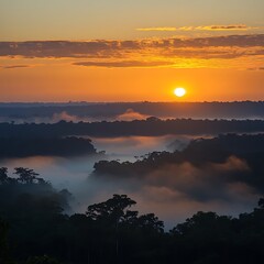 Obraz premium Amazon forest covered in fog and sunrise light beams high resolution picture