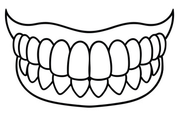 Outlined Human Teeth with Gums Vector Illustration for Dental Health and Oral Care