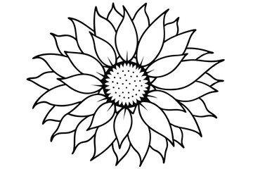 Sunflower Illustration with Detailed Petals and Seed Center in Black and White Outline