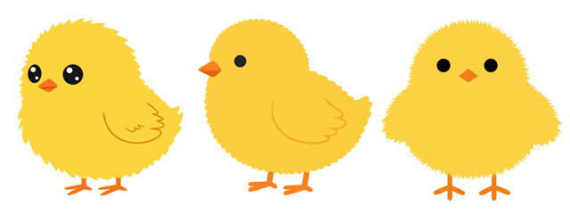 Adorable Yellow Chicks Flat Design Vector Illustration Set - Easter Spring Animal Graphic