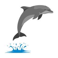 Fototapeta premium Dynamic Leaping Dolphin with Water Splash Flat Design Vector Illustration - Marine Animal Graphic