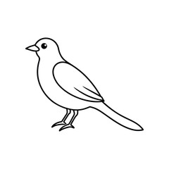 Obraz premium bird line art
