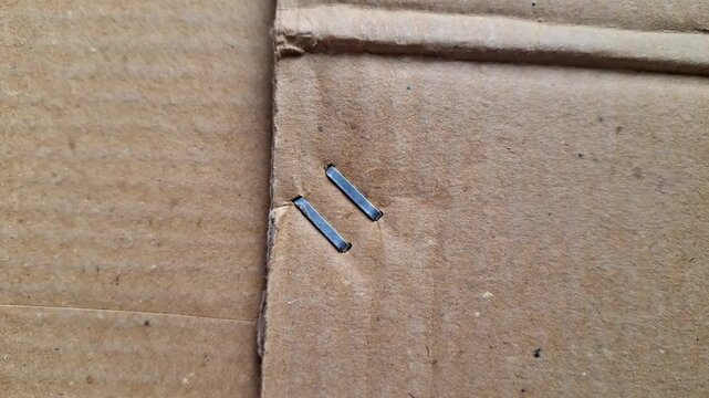 Metal staple on brown cardboard
