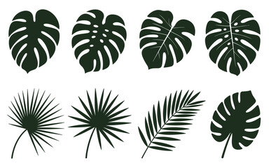 Silhouettes of Tropical and Exotic Leaf Designs in Vector Format