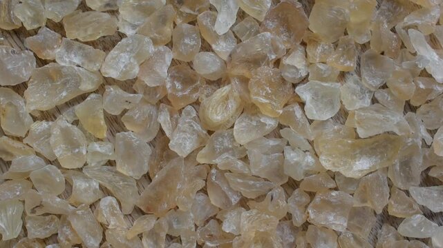 Raw whole dried Tragacanth gum