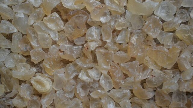 Raw whole dried Tragacanth gum
