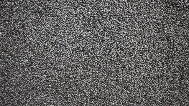 Raw whole dried Basil seeds