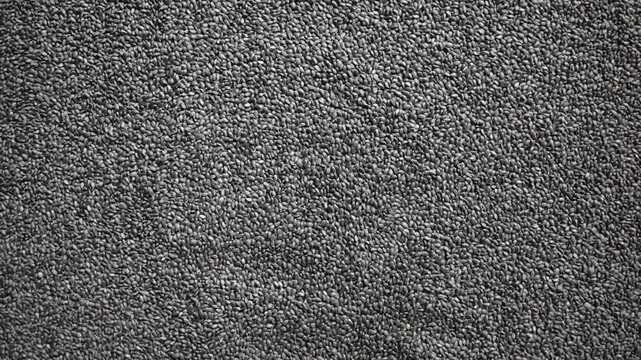 Raw whole dried Basil seeds