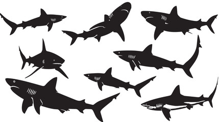 Fototapeta premium Sharks silhouette isolated in White background