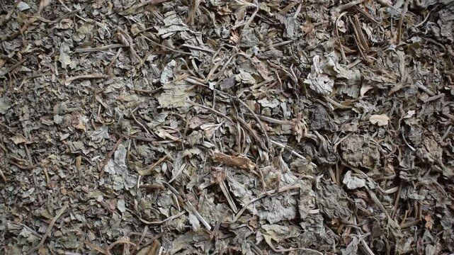 Raw whole dried Bacopa monnieri herb