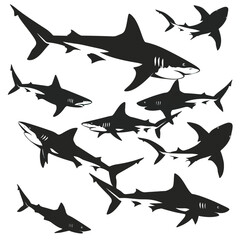 Sharks silhouette isolated in White background