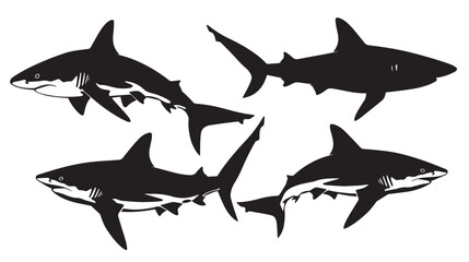 Sharks silhouette isolated in White background