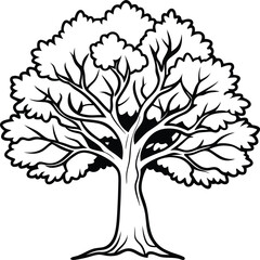 Obraz premium The Majestic Oak: A bold, striking, and detailed outline of a sturdy oak tree, its sprawling branches reaching towards the sky, its trunk firmly rooted in the earth.