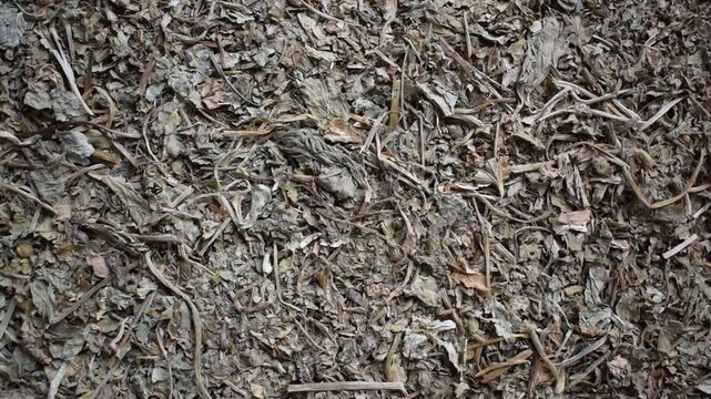 Raw whole dried Bacopa monnieri herb