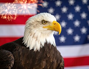 Obraz premium Bald eagle portrait against American flag