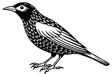 Black and White Graphic of a Bird Illustration with Detailed Feathers and Sharp Claws
