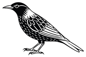 Elegant Monochrome Illustration Standing Bird with Detailed Feathers and Sharp Talons Design