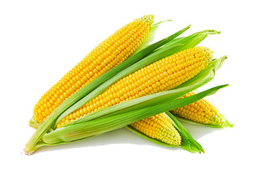 corn isolated on white background