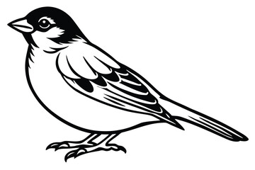 Detailed Vector Illustration of a Perched Songbird with Intricate Wing and Feather Details