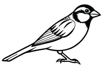 Obraz premium Simple Black and White Line Drawing of a Bird with Perched Posture